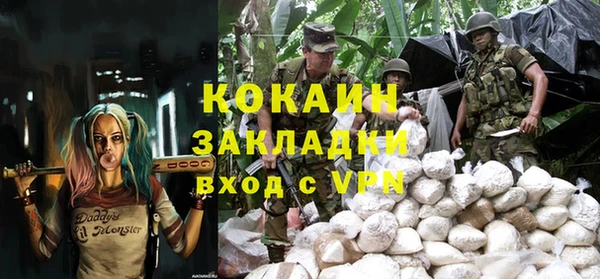индика Алзамай