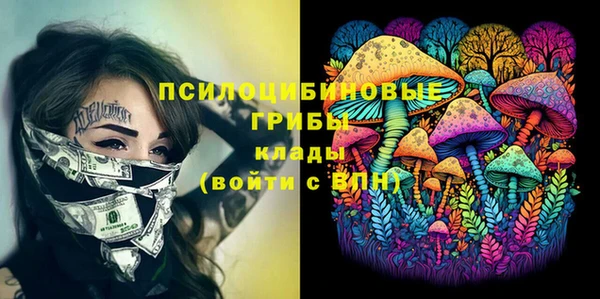 индика Алзамай