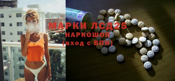 прущие грибы Аркадак