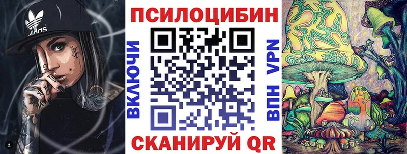 Псилоцибиновые грибы Magic Shrooms закладка Черкесск