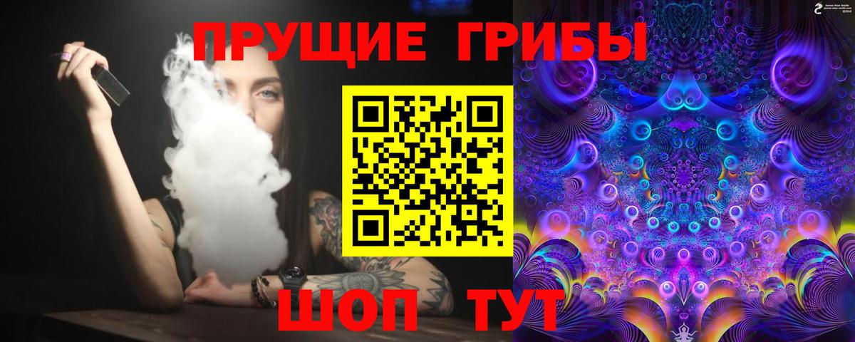 Черкесск  Псилоцибиновые грибы Psilocybe  Вход с VPN 